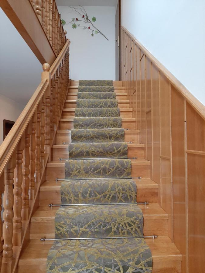 Apartmaji Tisa Moravske-Toplice Dış mekan fotoğraf