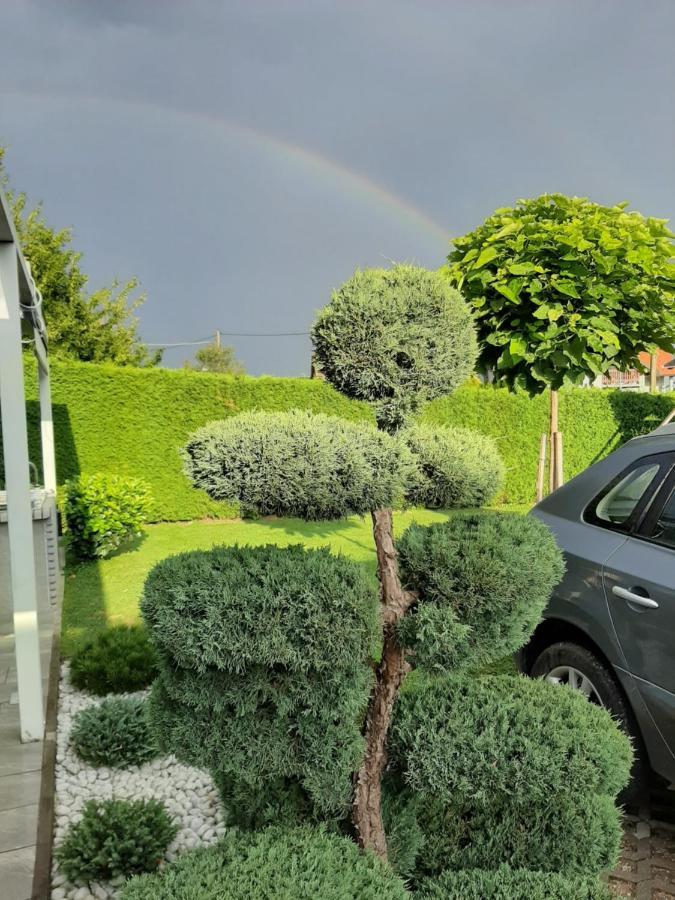 Apartmaji Tisa Moravske-Toplice Dış mekan fotoğraf